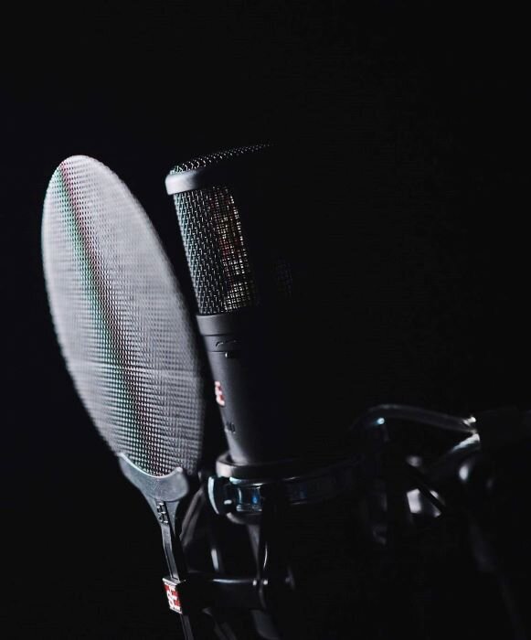 Microphone SE Electronics 2300 pour enregistrement vocal dans studio. | © Plug The Jack